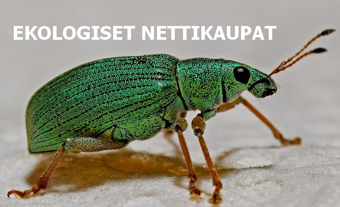 ekologiset nettikaupat