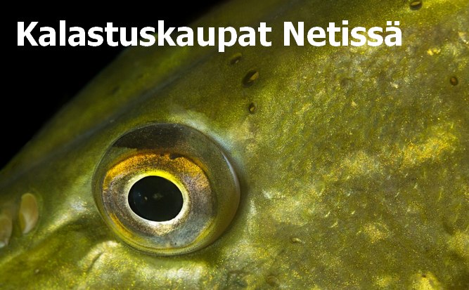 kalastuskaupat netissä